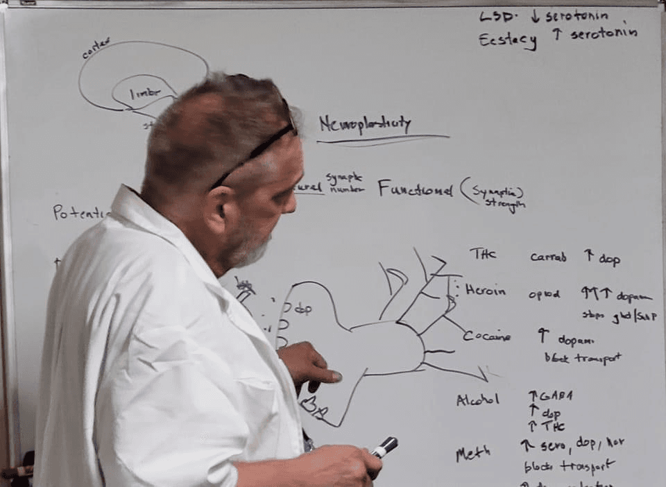 Addiction Treatment: Is Suboxone the gold standard?